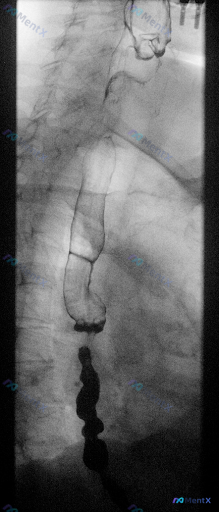 Post 1568 image 1