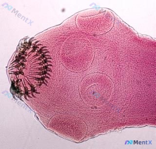 Post Image 5