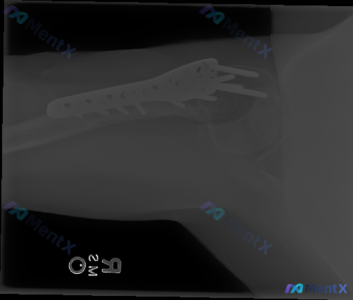 Post 3871 image 1