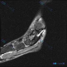 Post 19515 image 1