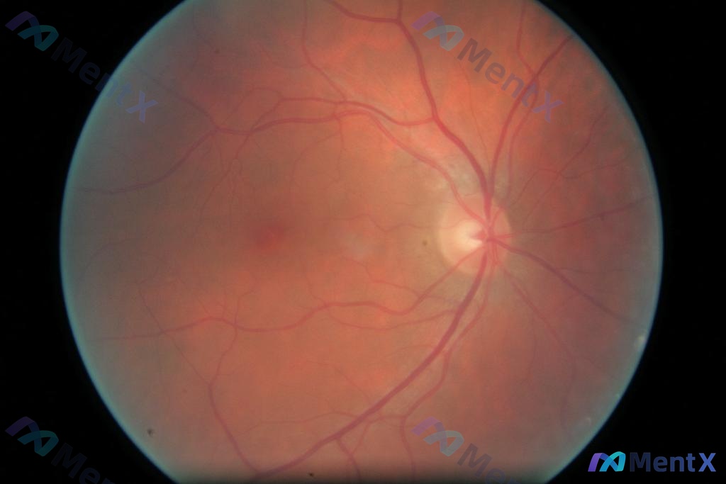 Post 2180 image 1
