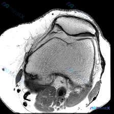 Post 22019 image 1