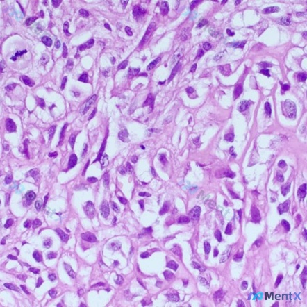 Post Image 6