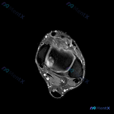 Post 24806 image 1