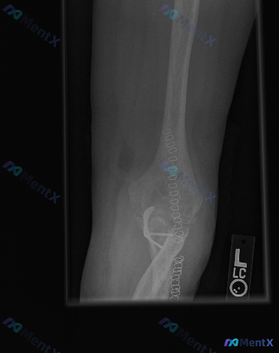 Post 5784 image 1