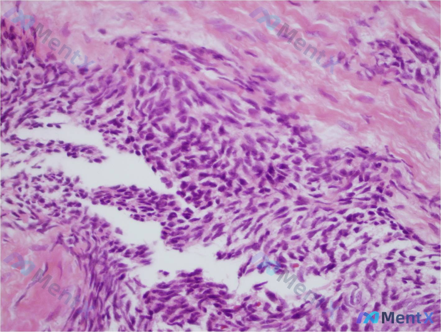 Post Image 6