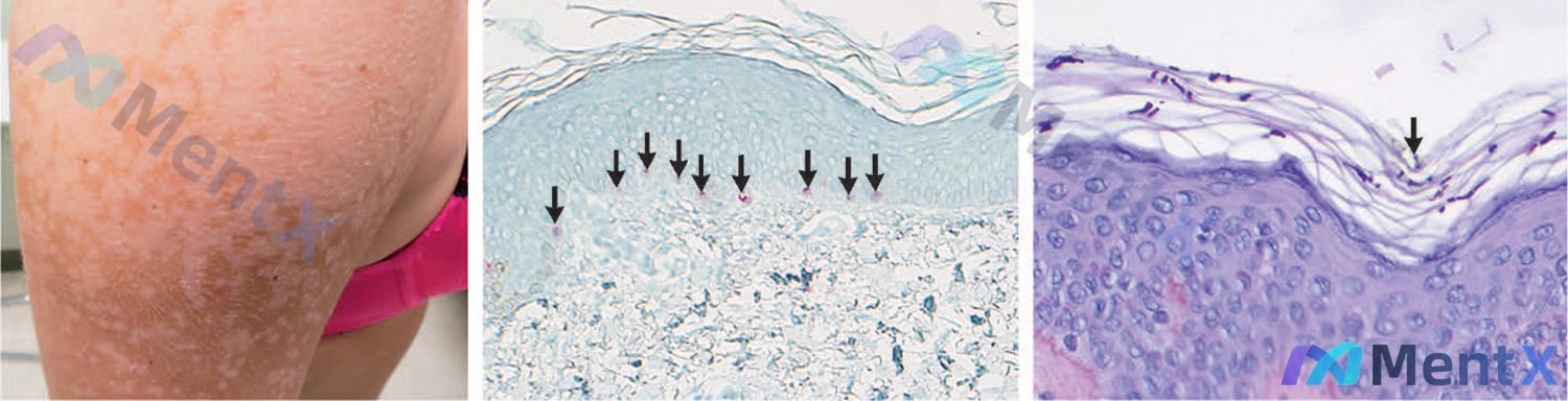 Post 2582 image 1