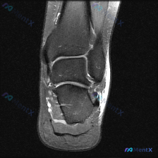 Post 37958 image 1
