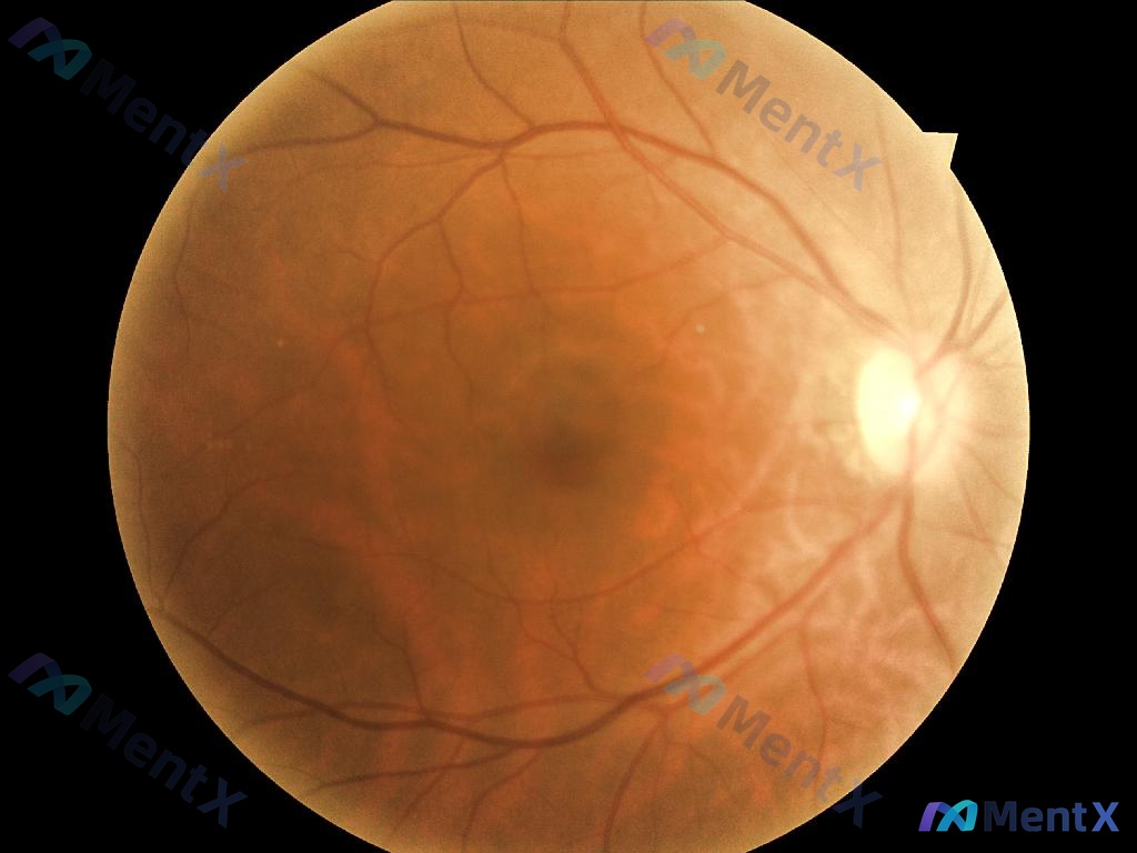 Post 1181 image 1