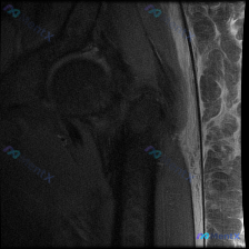 Post 19681 image 1