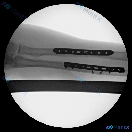 Post 6028 image 1
