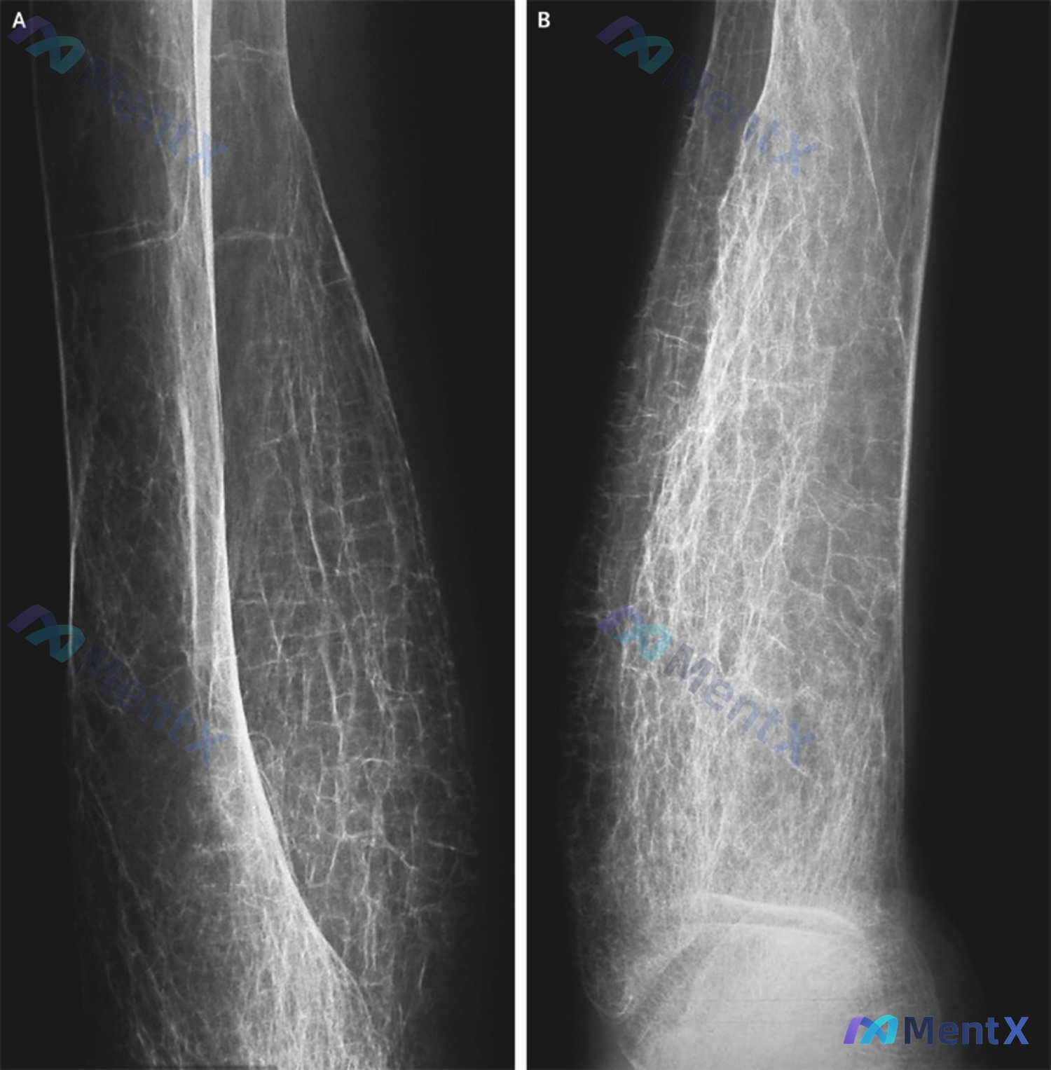 Post 296 image 1