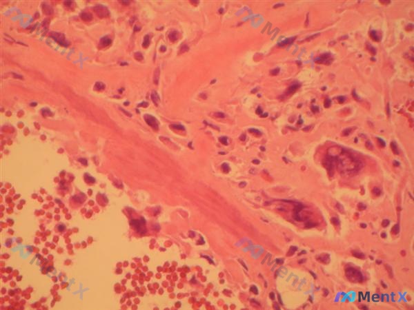 Post 2308 image 3
