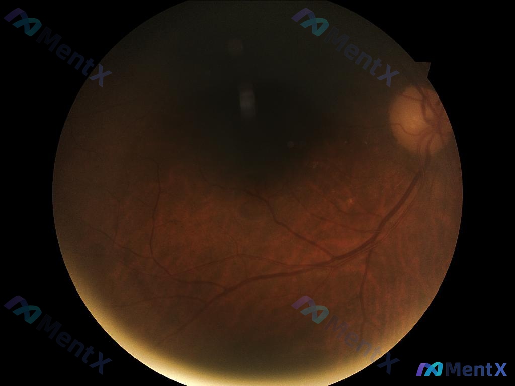 Post 159 image 1