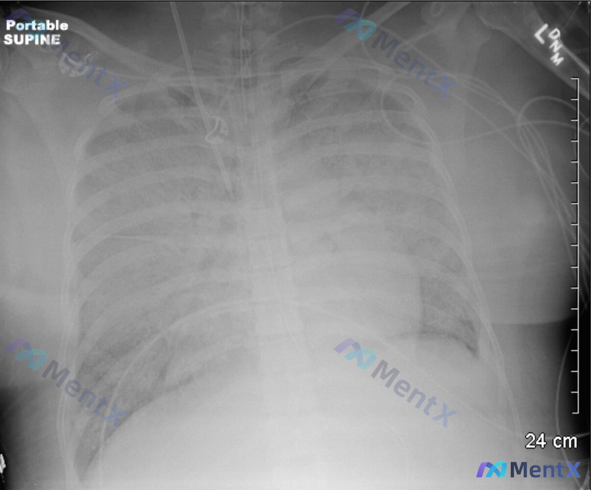 Post 1752 image 1