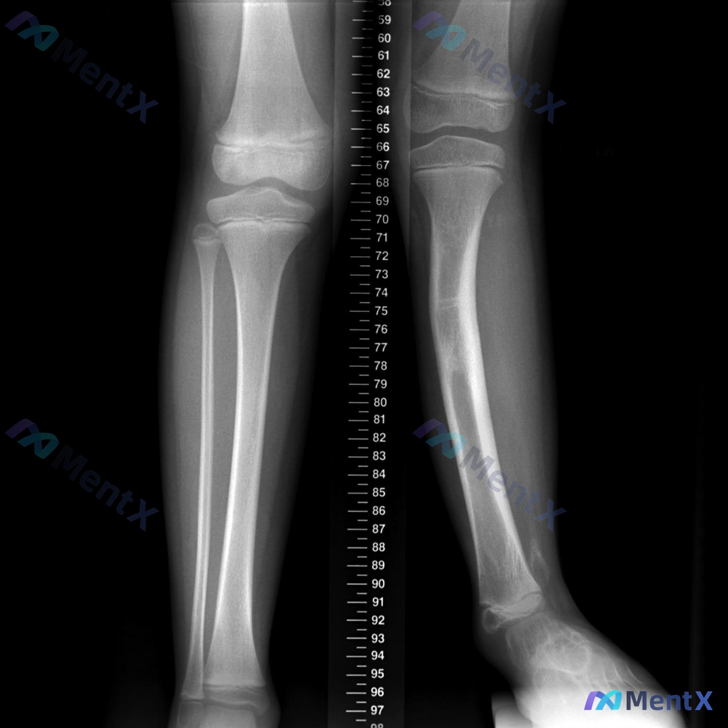 Post 17 image 1