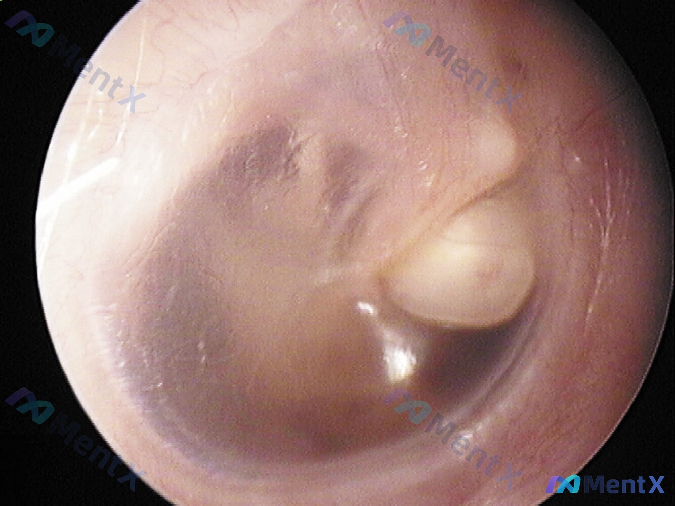 Post 2832 image 1