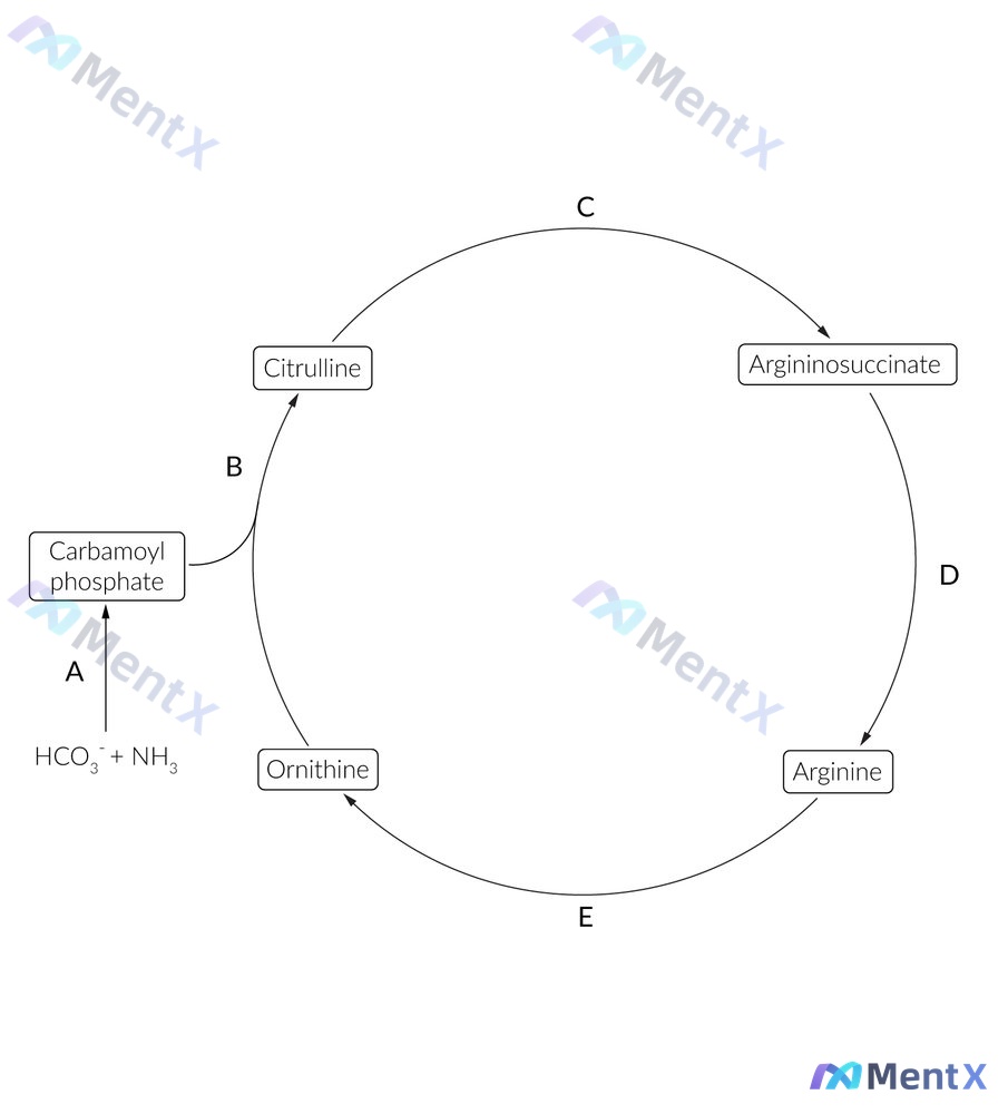 Post 68 image 1
