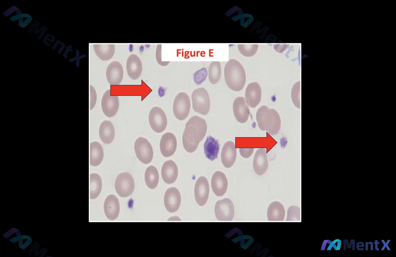 Post Image 5