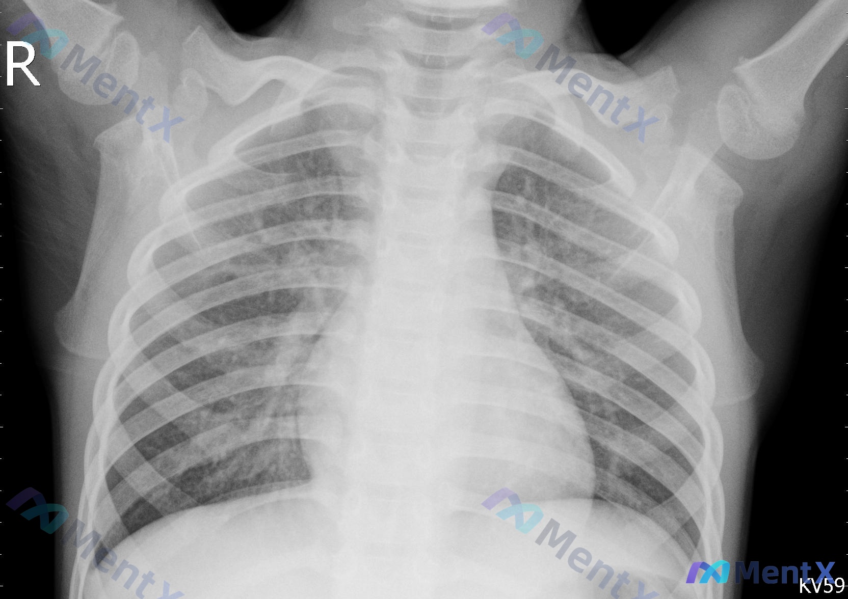 Post 279 image 1