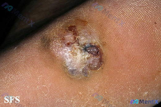 Post 3163 image 1