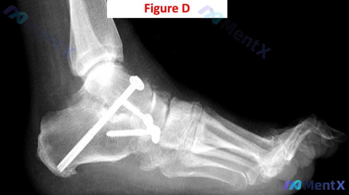 Post 427 image 4
