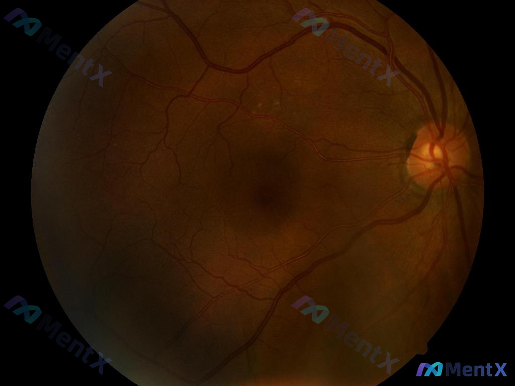 Post 274 image 1