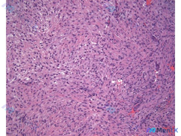 Post Image 6