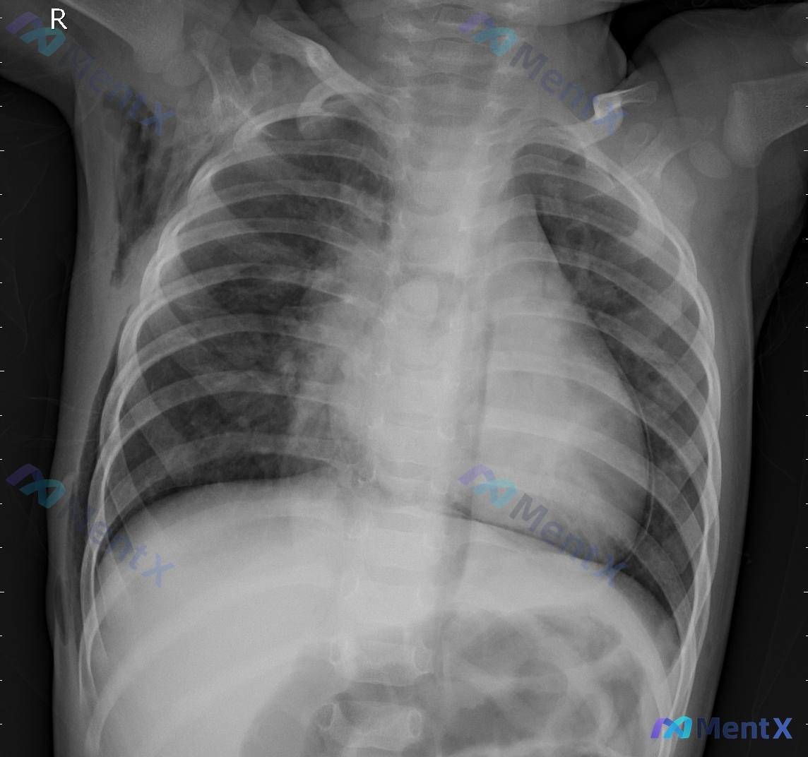 Post 458 image 1