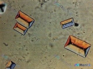 Post 2044 image 1