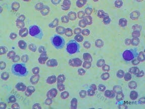 Post 2937 image 1