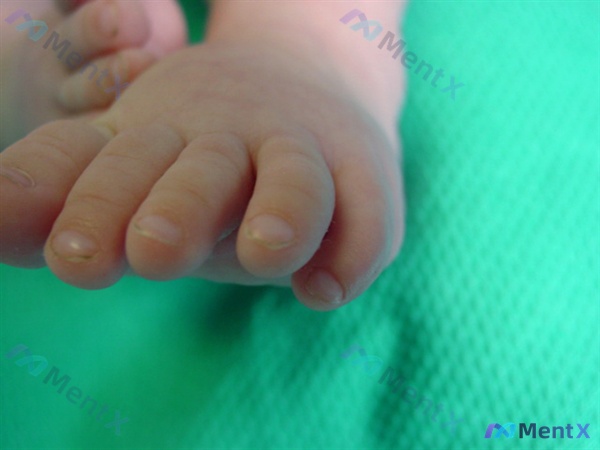 Post 2132 image 2
