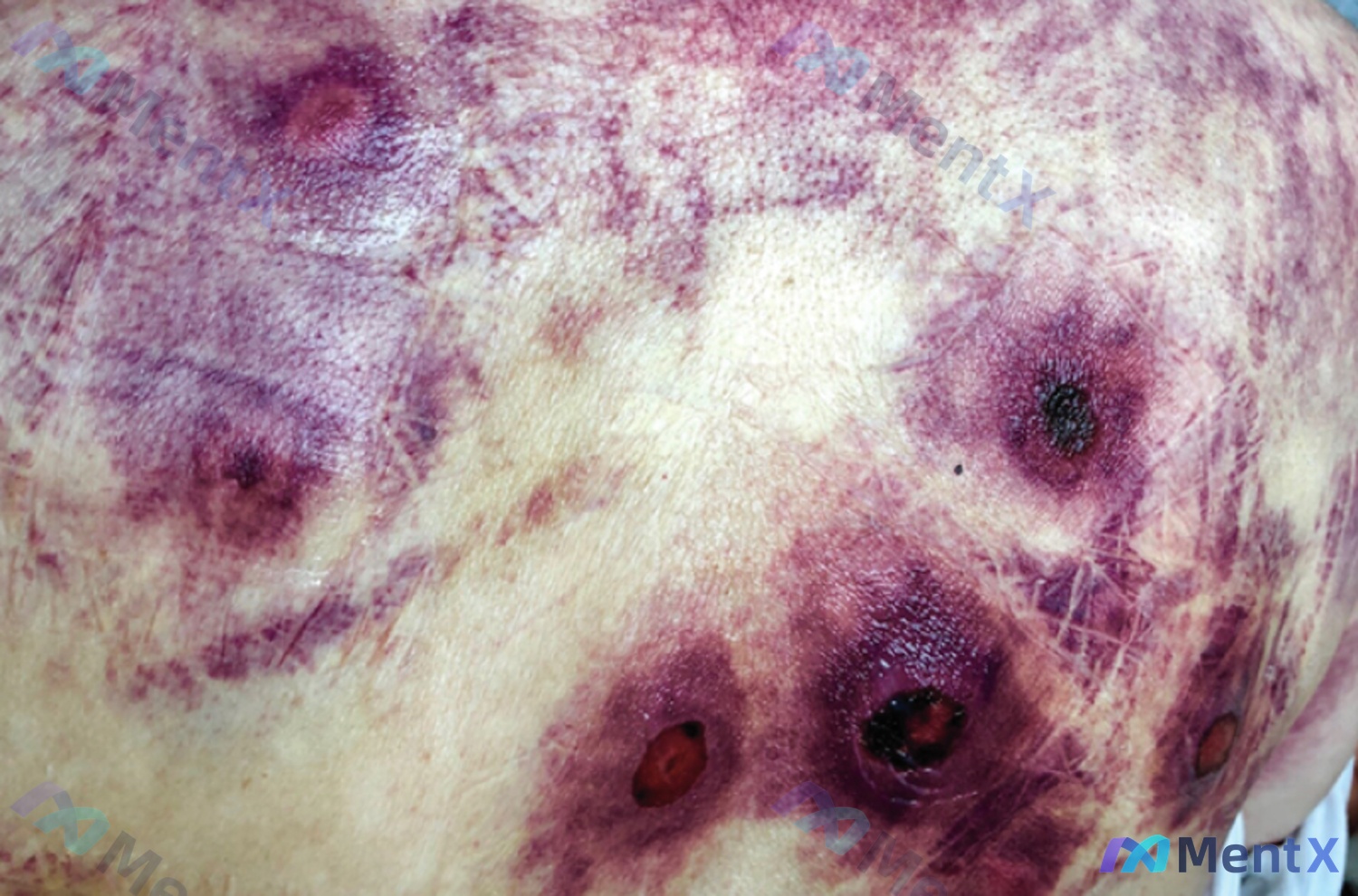 Post 90 image 1