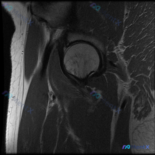 Post 23102 image 1