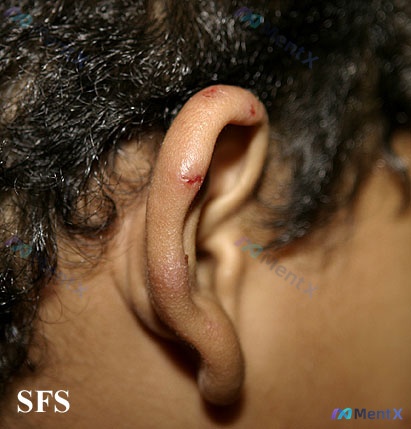Post 3505 image 1