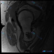 Post 26060 image 1