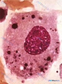 Post Image 6
