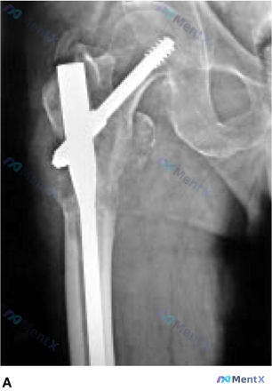 Post 683 image 1