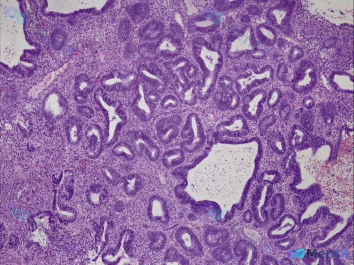 Post 927 image 1