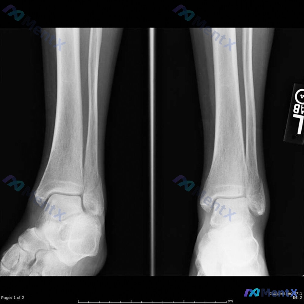 Post 743 image 1