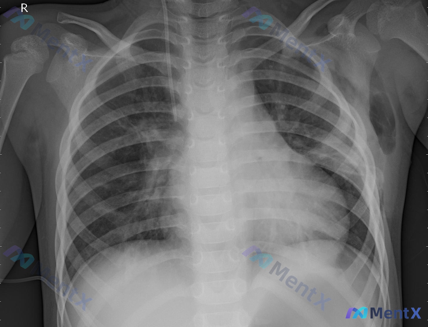 Post 2167 image 1