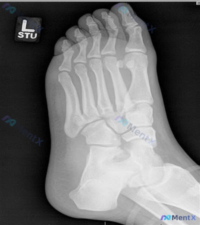 Post 267 image 2