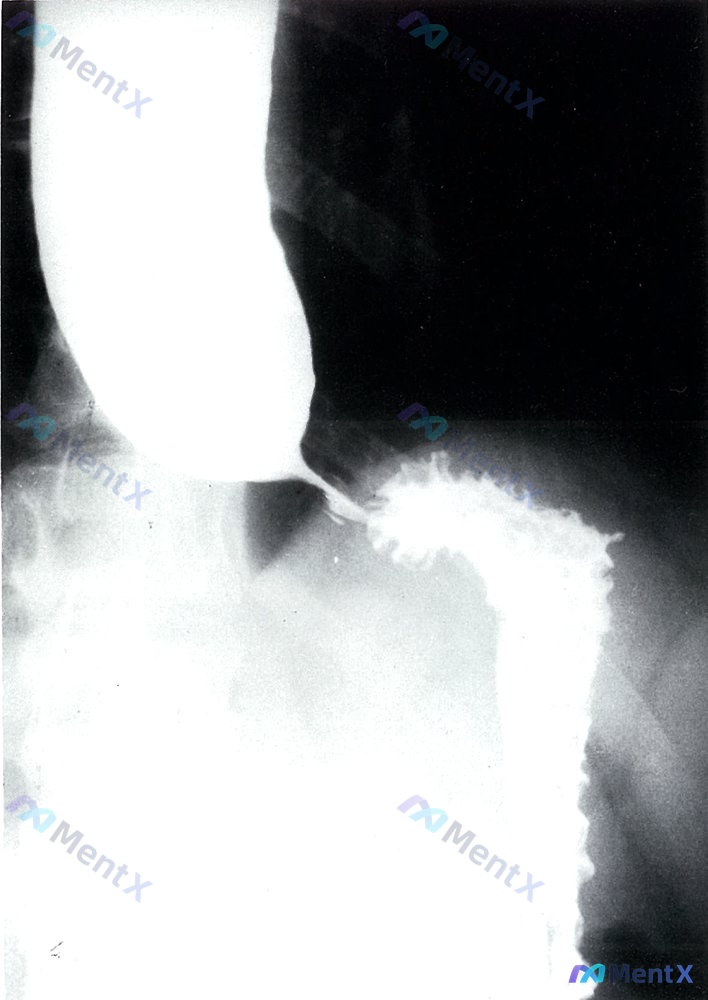Post 1044 image 1