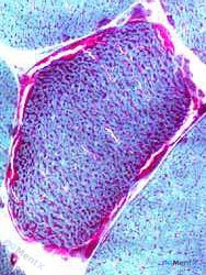 Post Image 6