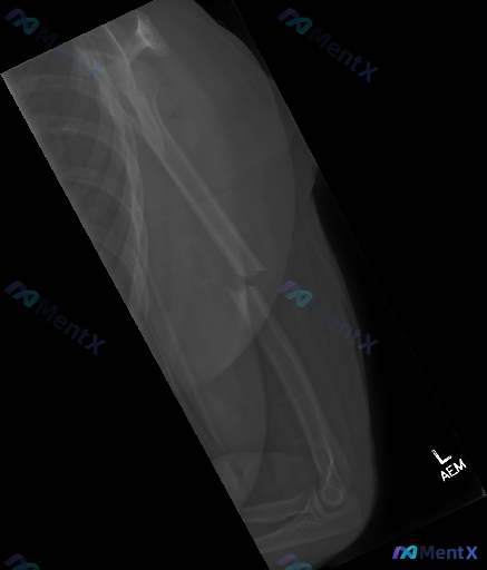 Post 3181 image 1
