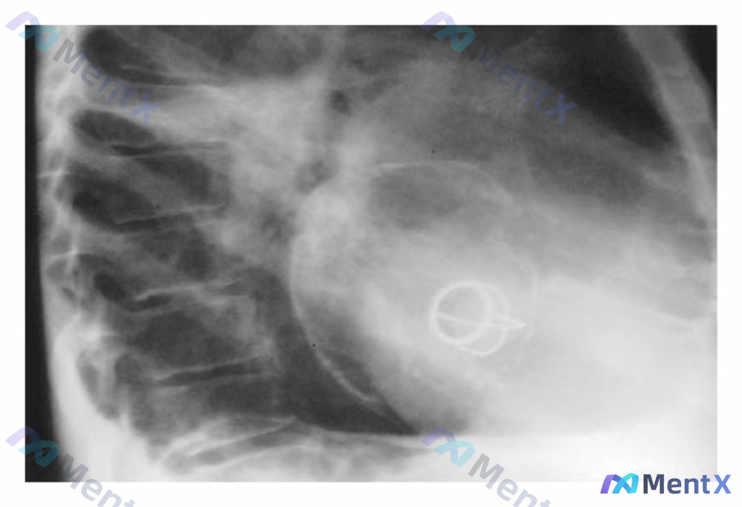 Post 2898 image 1