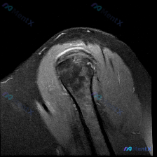 Post 20409 image 1
