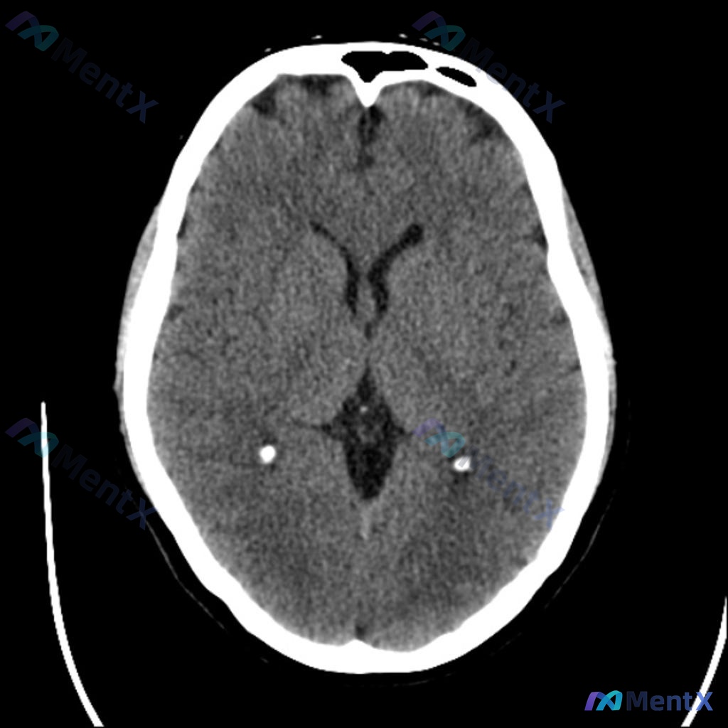Post 1731 image 2