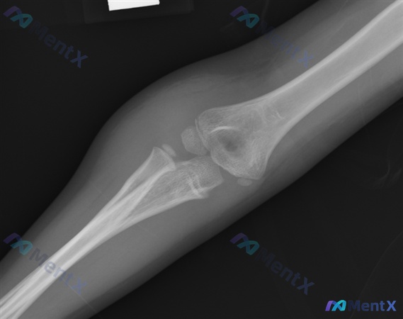 Post 2126 image 1