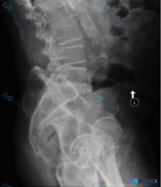 Post 1746 image 4